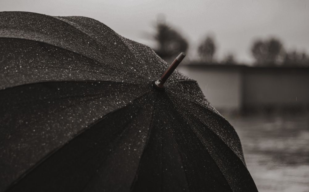 They Keep a 'Rainy Day' Cushion