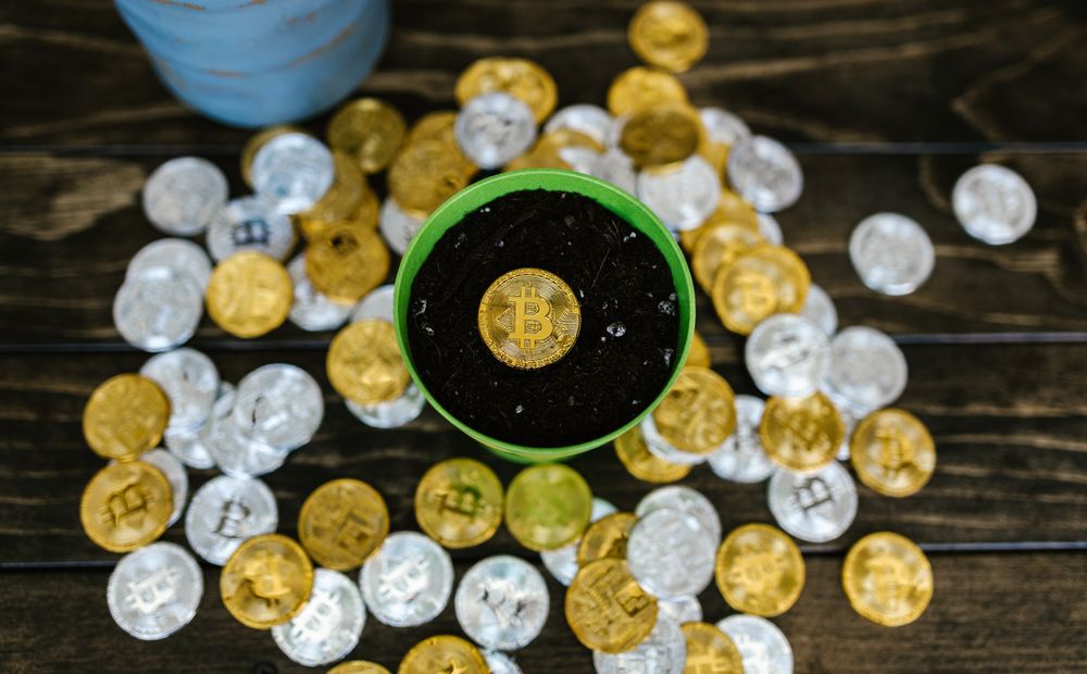 They Invest Small, But Never Stop