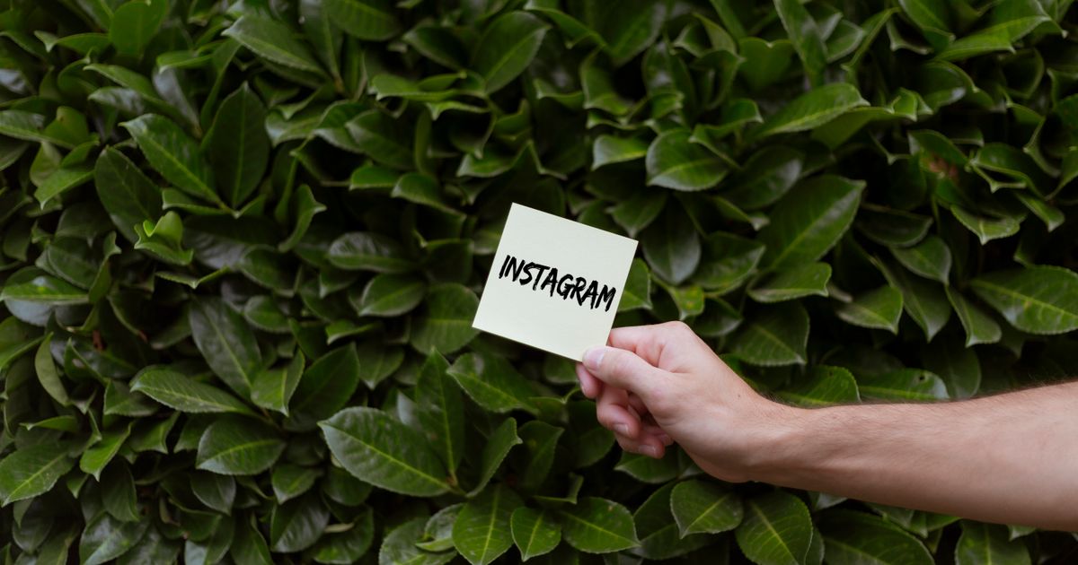 How to Grow on Instagram Organically in 2026 (Without Ads)