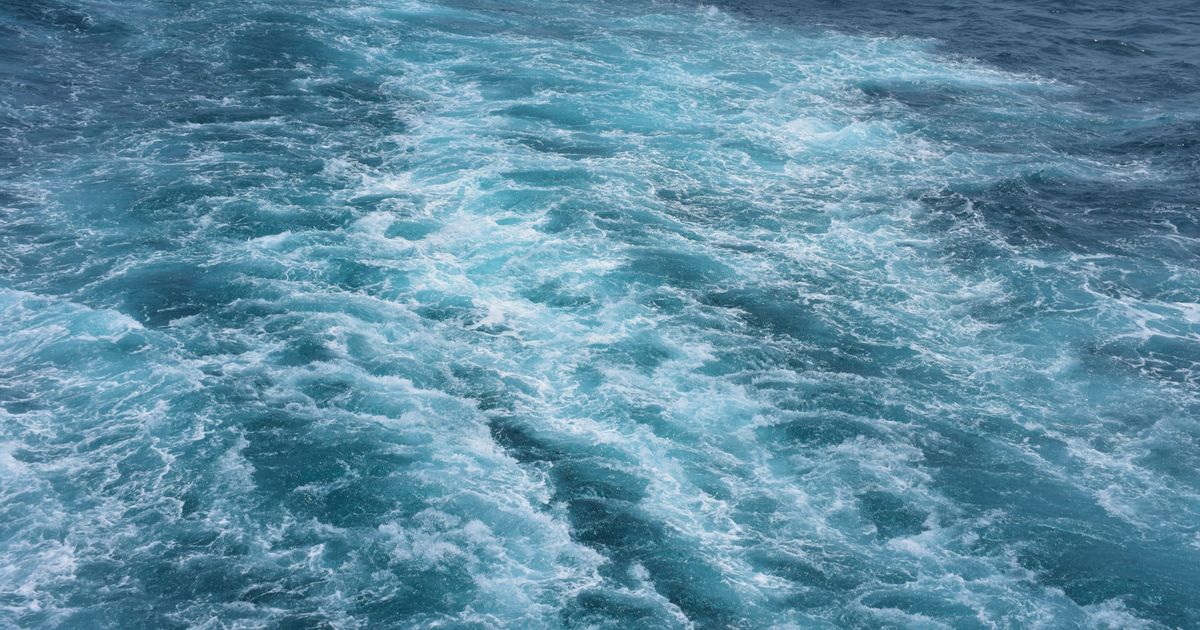 How Much Water Should You Actually Drink a Day — An Honest Answer